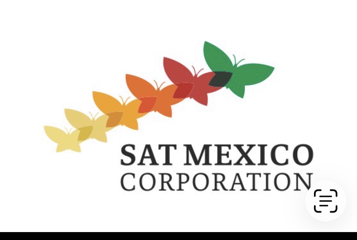 Luz Arelia Velázquez Balcazar